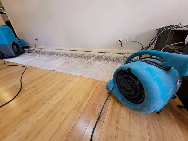 Professional Basement Flood Cleanup technician working in Pigeon Forge, TN